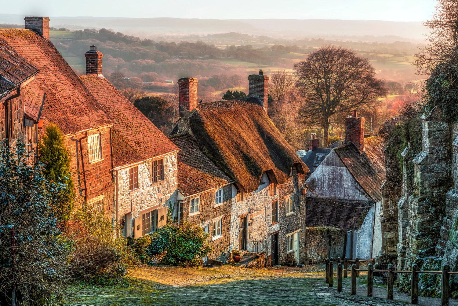 Entry-header image